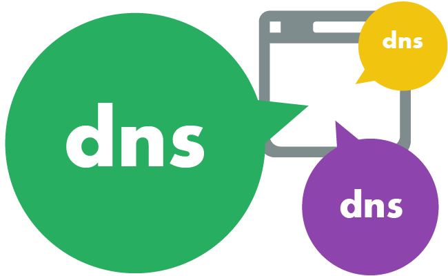 dns lookup